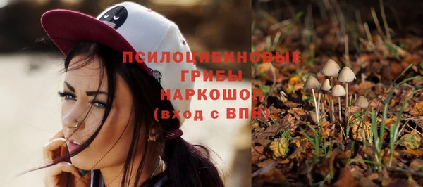 дурь Алексеевка