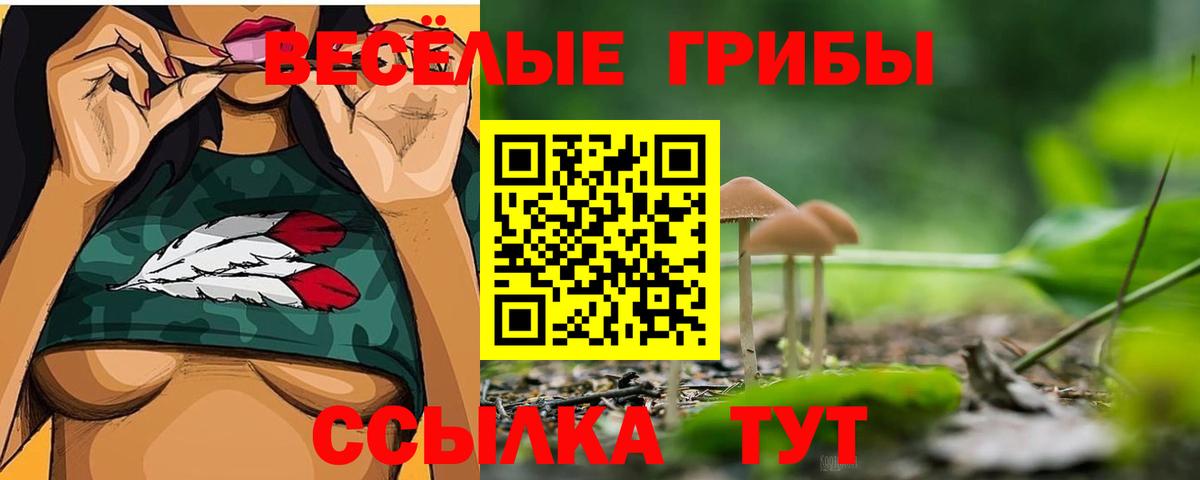 Арсеньев  даркнет сайт  Вход с VPN  Псилоцибиновые грибы Magic Shrooms 
