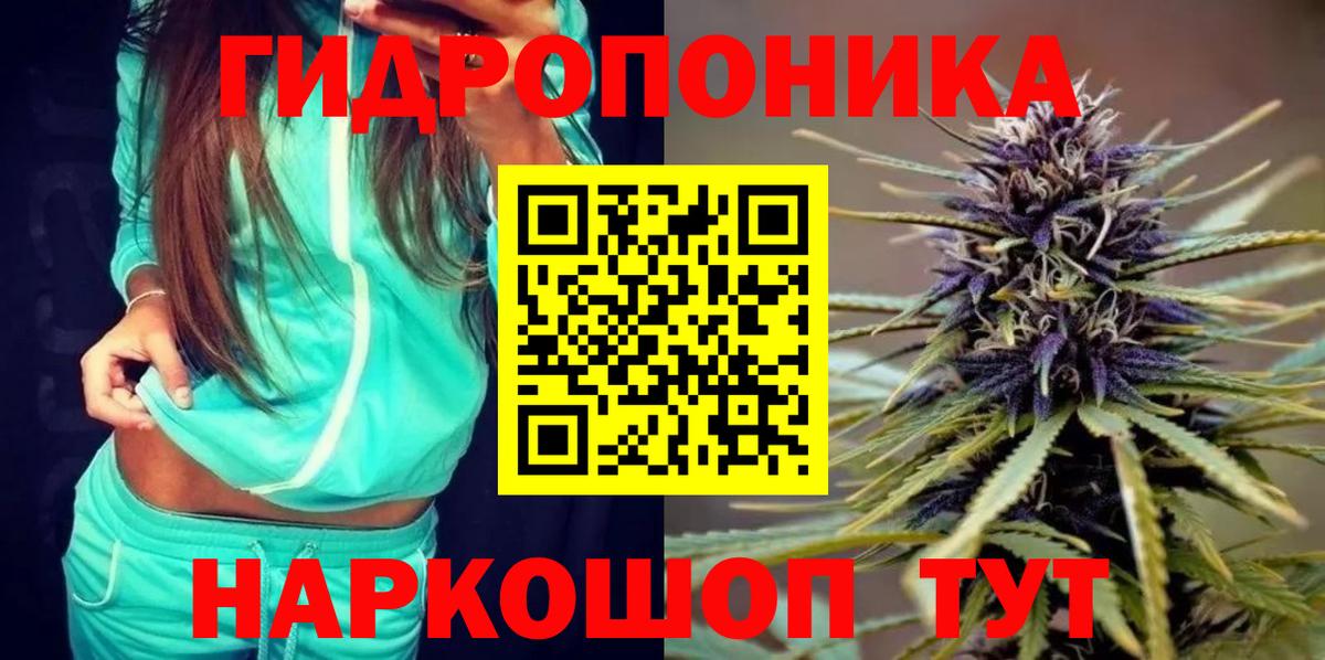 Бошки марихуана планчик  Шишки марихуана планчик  Арсеньев  Вход с VPN 